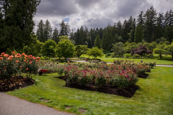 Flower Garden Landscaping in Englewood